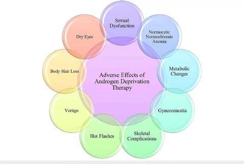 Androgen Deprivation Therapy: Learn Key Facts Before Your Next Treatment Step