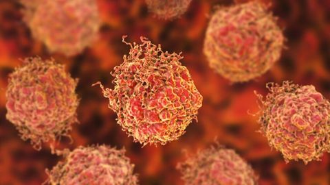 Understanding Erleada Therapy: Key Insights and Treatment Details