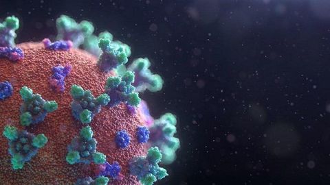 Antibody Sequencing Insights: Latest Trends and Innovations Explained