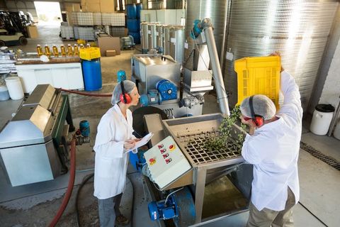 Frozen Food Processing Line Explained: Basics, Workflow, Key Facts, and Practical Knowledge