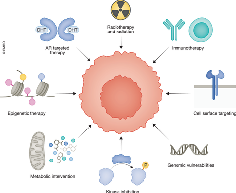 Prostate Cancer Systemic Therapy: Discover Important Facts to Know Now